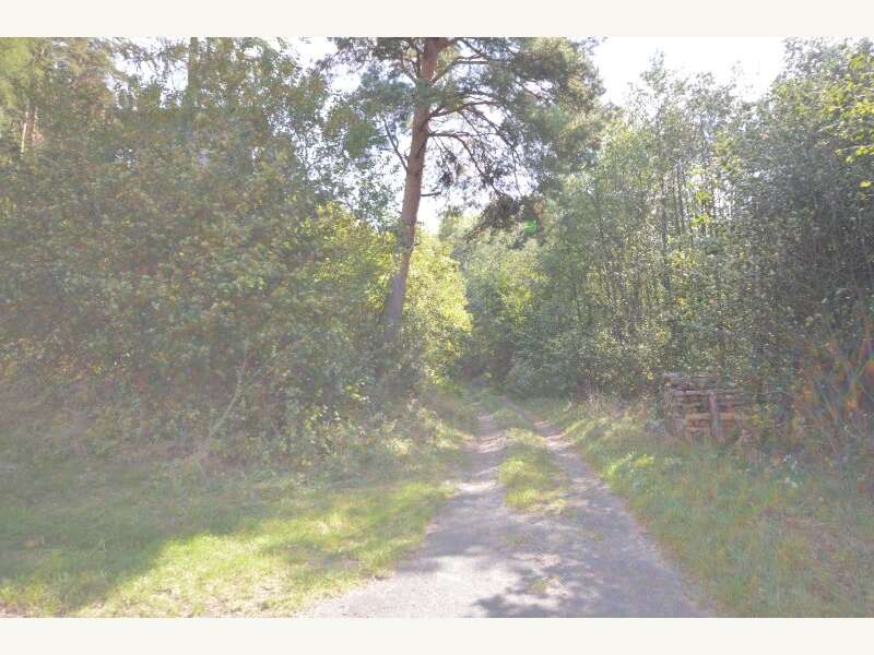 Landwirtschaftsgrund in 7433  - 2