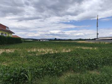 Baugrundstück in Oberwart