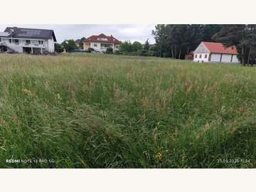 Landwirtschaftsgrund in Sankt Martin in der Wart