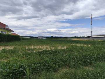 Baugrundstück in Oberwart