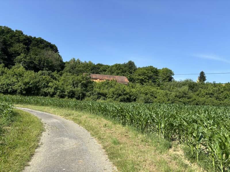 Landwirtschaft in 8362  - 5