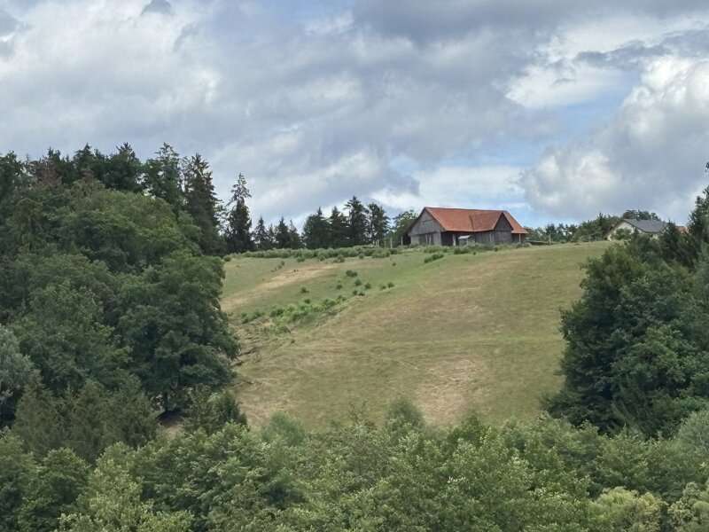 Stallhofen Landwirtschaftsgrund - Bild 2 von 11 Landwirtschaftsgrund in 8152 - 2