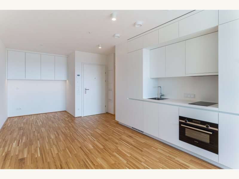 Apartement in 1100  - 2