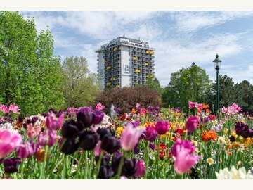 Apartement in Wien