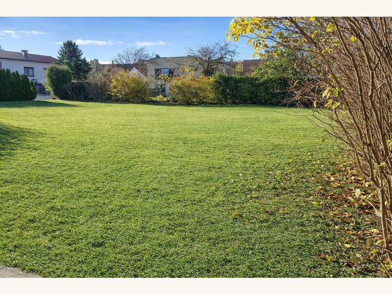 Mehrfamilienhaus in 2404  - 15