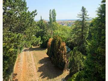 Baugrundstück in Hagenbrunn