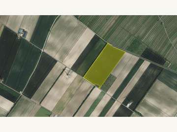 Landwirtschaftsgrund in Höflein