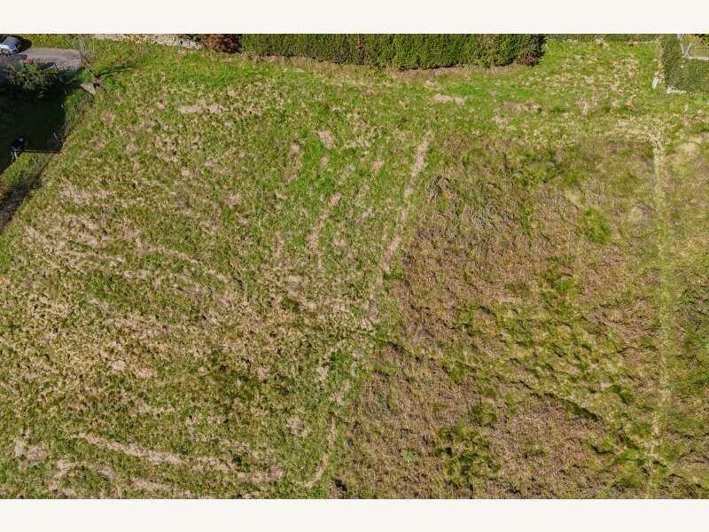 Liebenfels Grundstück - Bild 5 von 9 Grundstück in 9556 - 5